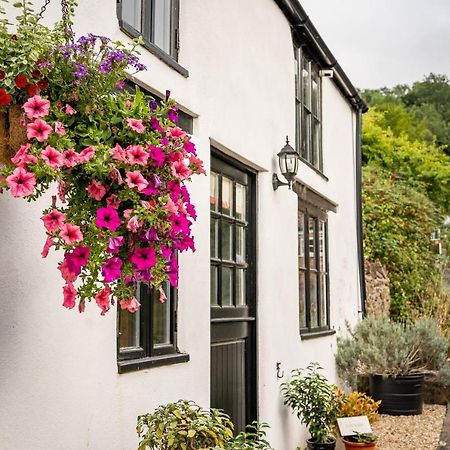 Woodview - Cosy 1840S Cottage In Chew Valley And Mendip Aonb Compton Martin Luaran gambar