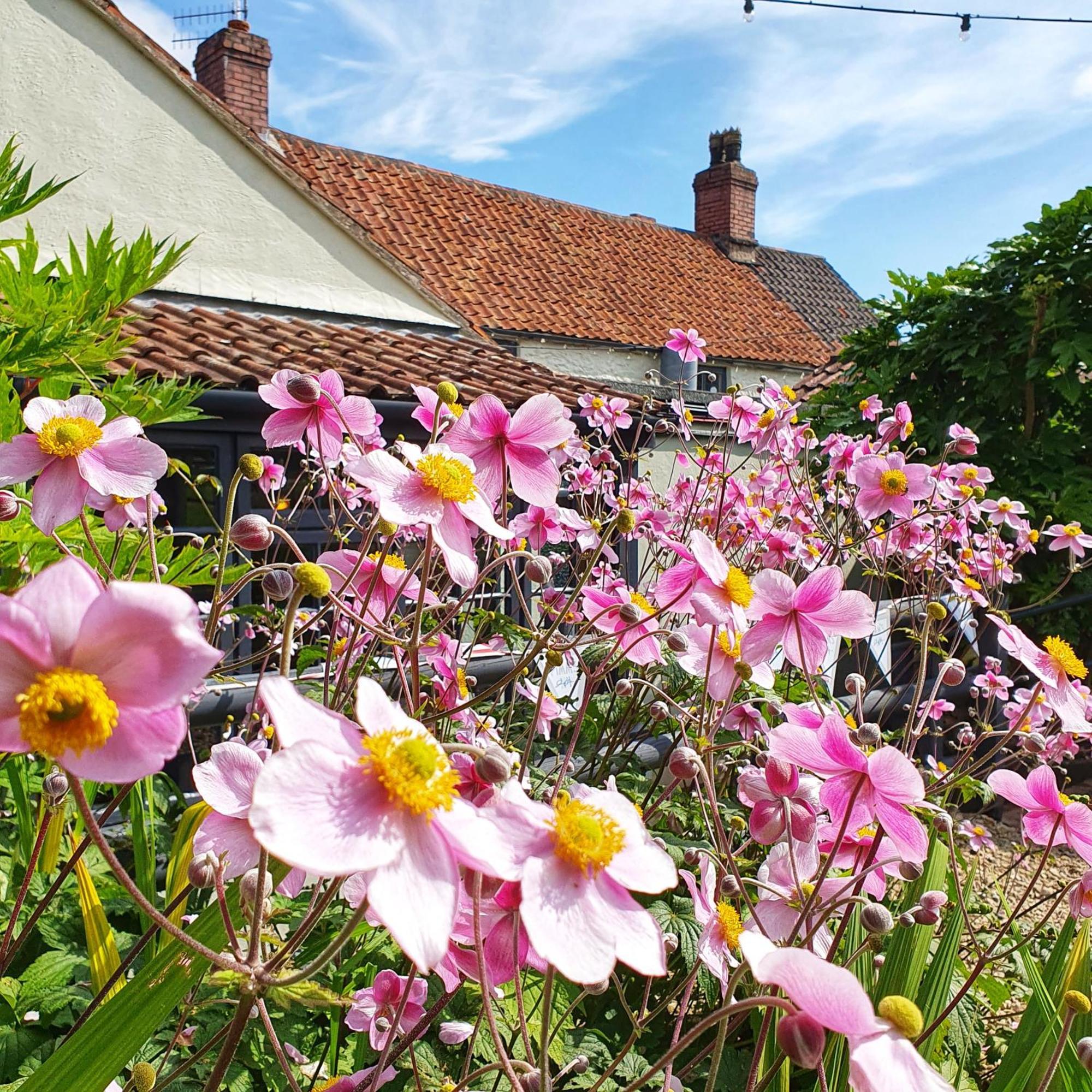 Woodview - Cosy 1840S Cottage In Chew Valley And Mendip Aonb Compton Martin Luaran gambar